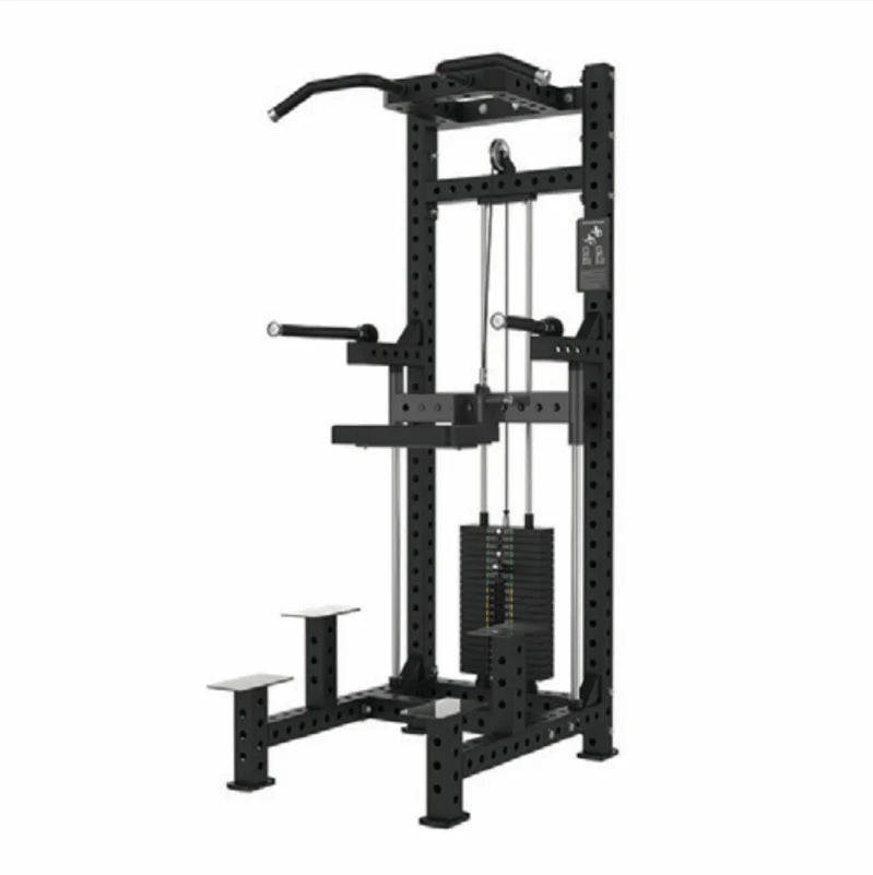 Classic Assisted Chin / Dip Combo