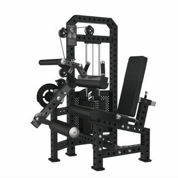 Classic Seated Leg Extension and Curl Combo