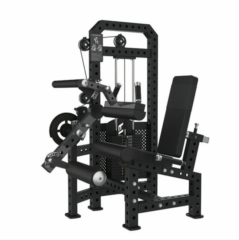 Classic Seated Leg Extension and Curl Combo