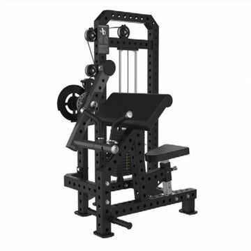 Classic Biceps and Triceps Combo