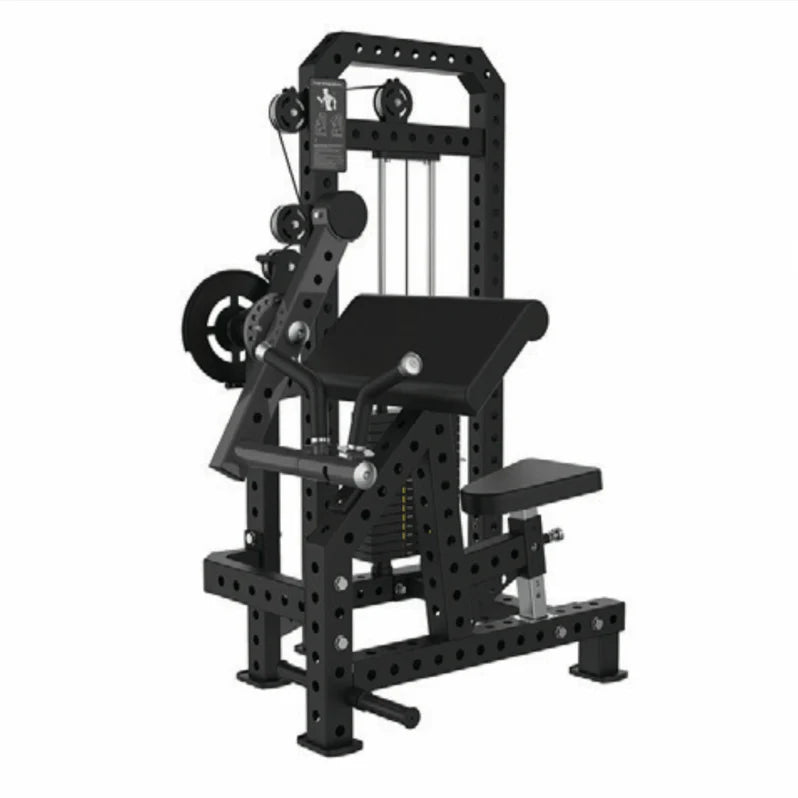 Classic Biceps and Triceps Combo