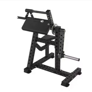 Plate Loaded Bicep and Triceps Combo