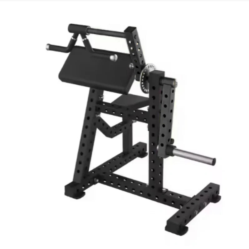 Plate Loaded Bicep and Triceps Combo